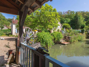 Gîte familial tout confort avec jardin, vélos, et proche châteaux et Zoo de Beauval. - FR-1-491-434